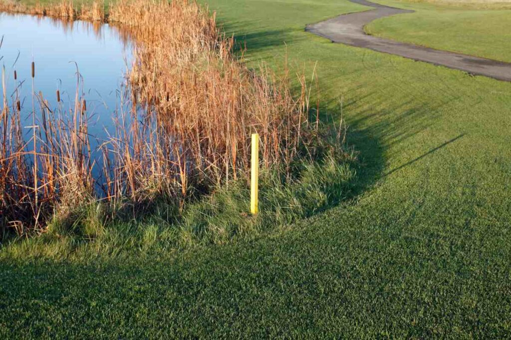 golf water hazard and stake